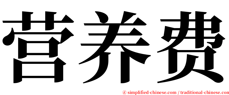 营养费 serif font