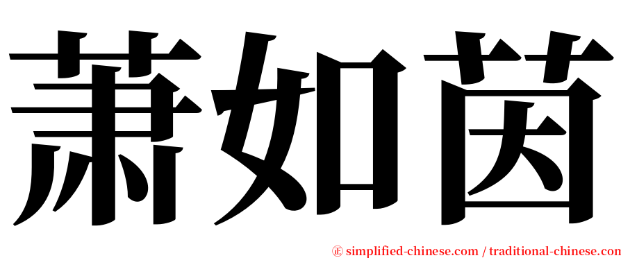 萧如茵 serif font