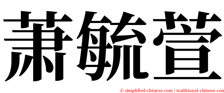 萧毓萱 serif font