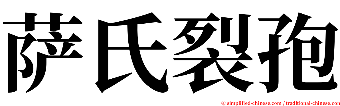 萨氏裂孢 serif font