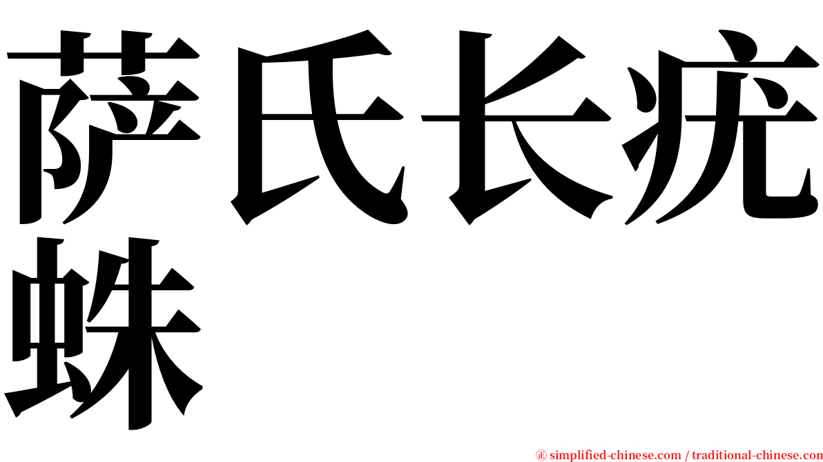 萨氏长疣蛛 serif font