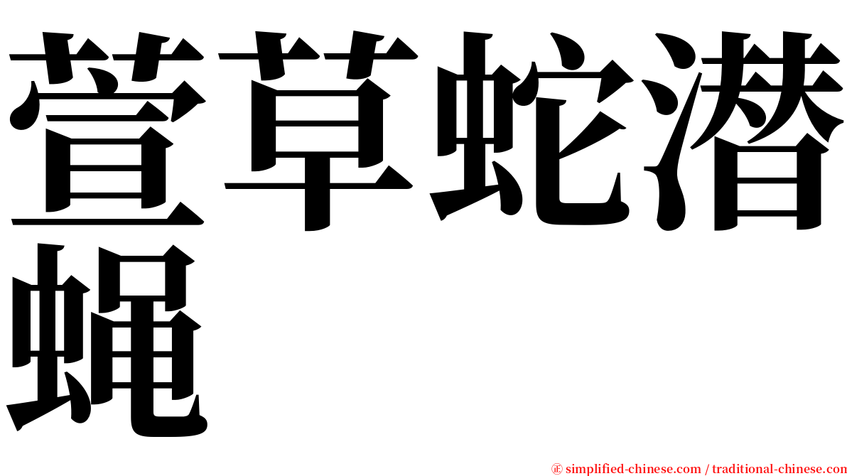 萱草蛇潜蝇 serif font