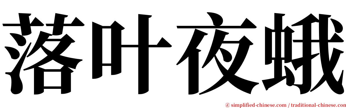 落叶夜蛾 serif font