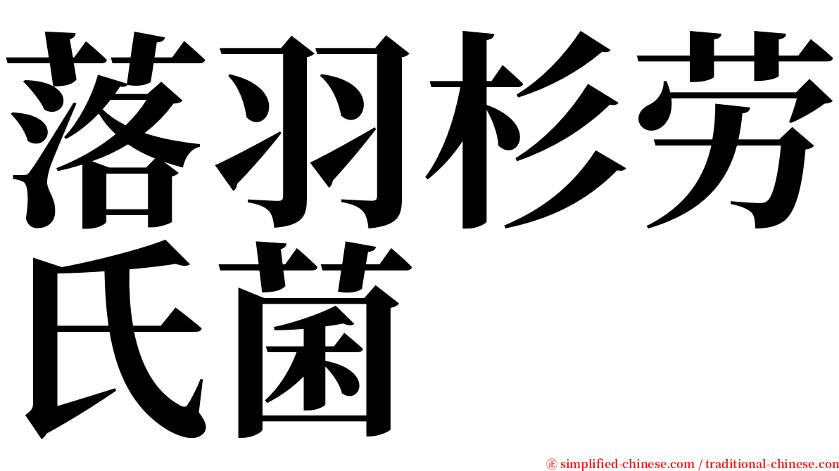 落羽杉劳氏菌 serif font