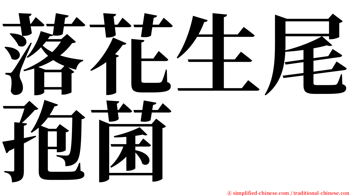 落花生尾孢菌 serif font