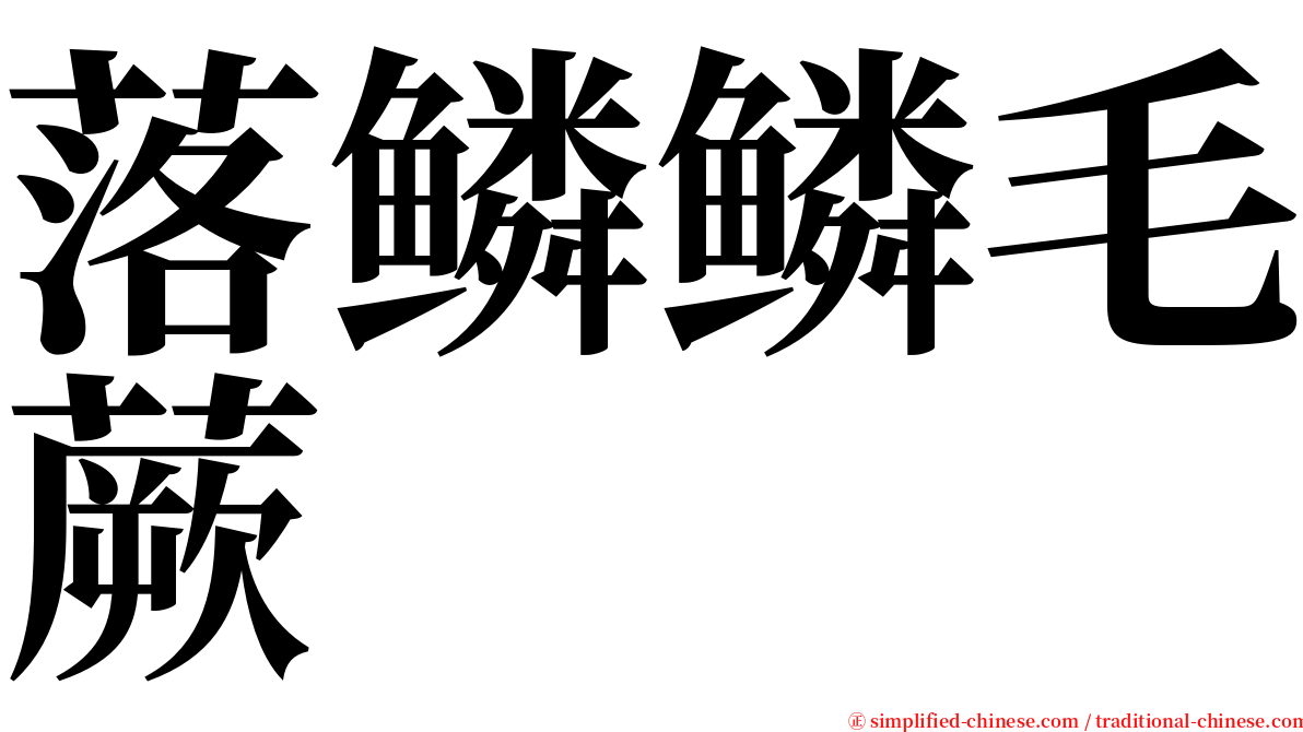 落鳞鳞毛蕨 serif font