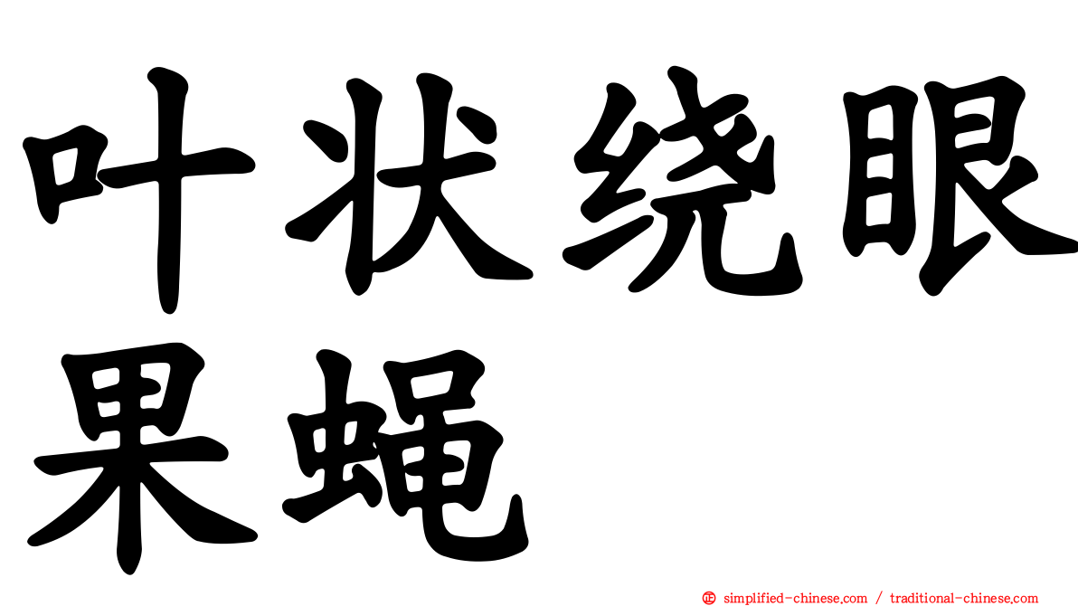 叶状绕眼果蝇