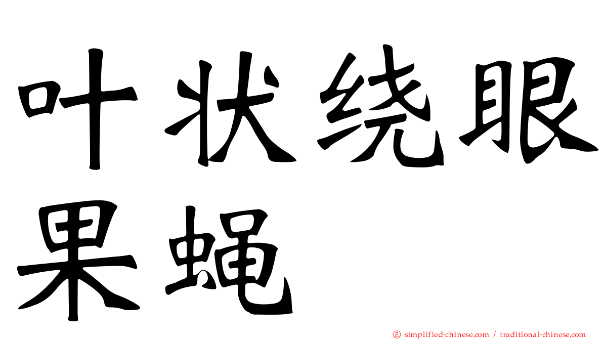 叶状绕眼果蝇