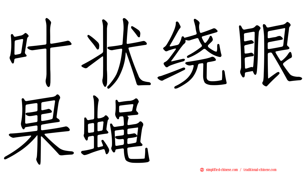 叶状绕眼果蝇