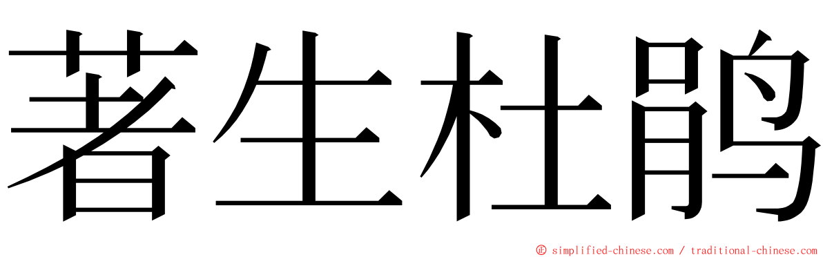 著生杜鹃 ming font