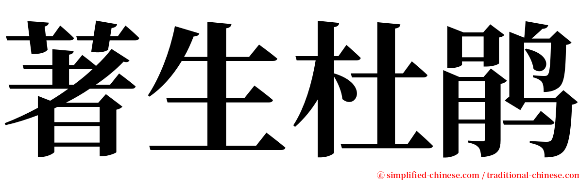 著生杜鹃 serif font