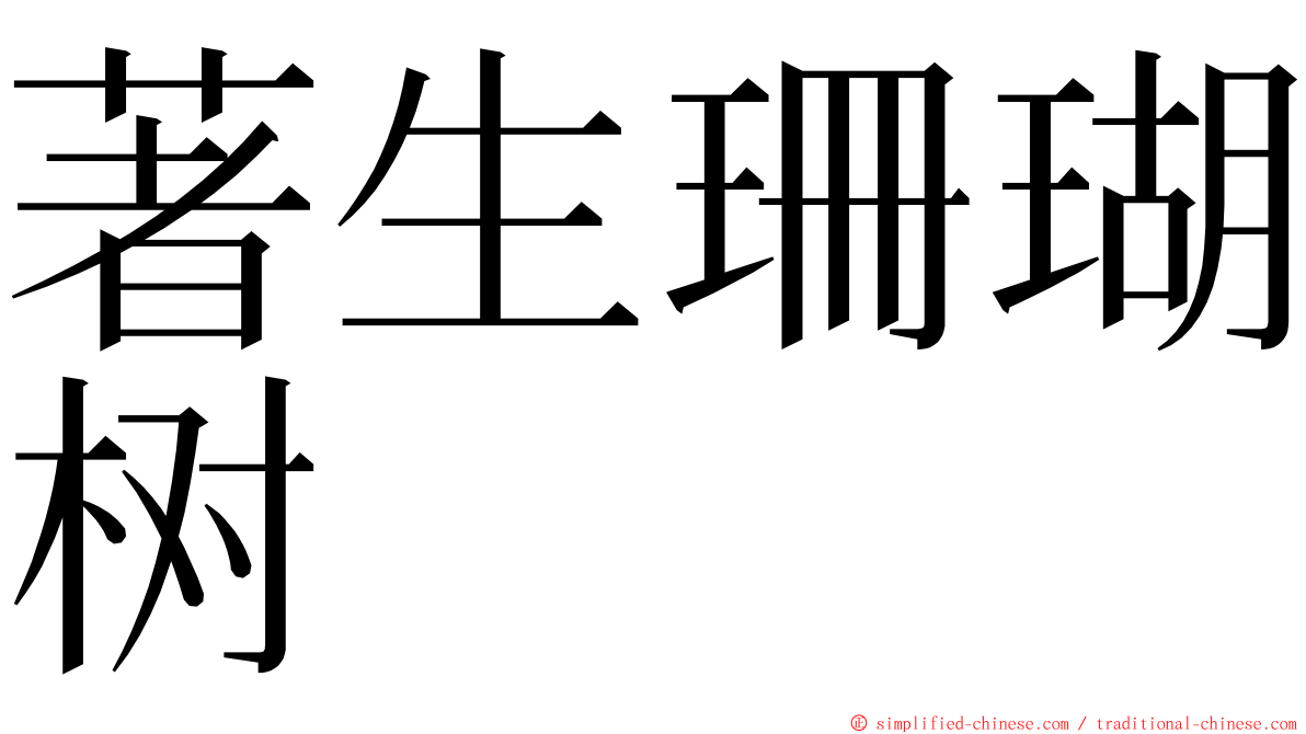 著生珊瑚树 ming font