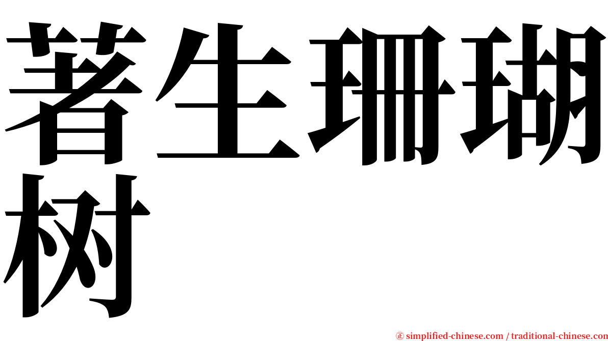 著生珊瑚树 serif font