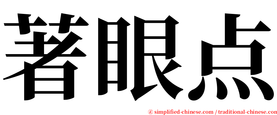 著眼点 serif font