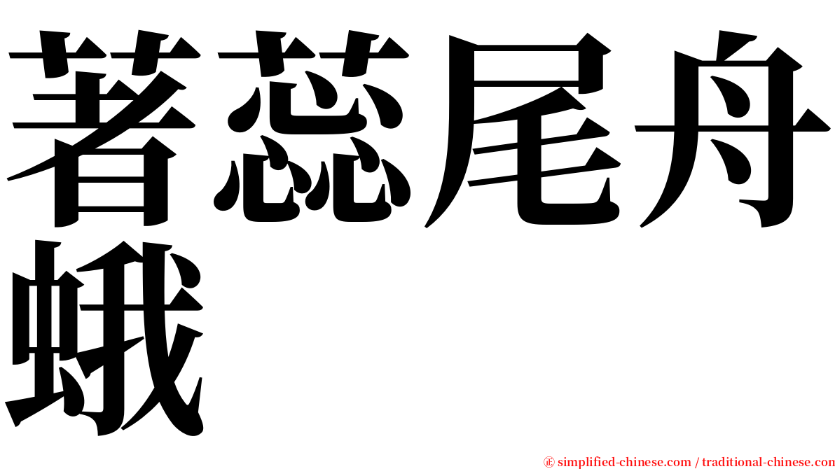 著蕊尾舟蛾 serif font