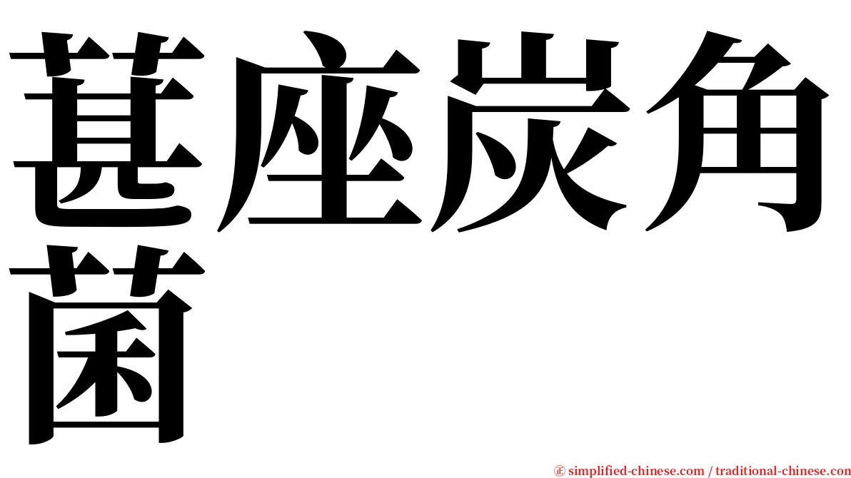 葚座炭角菌 serif font