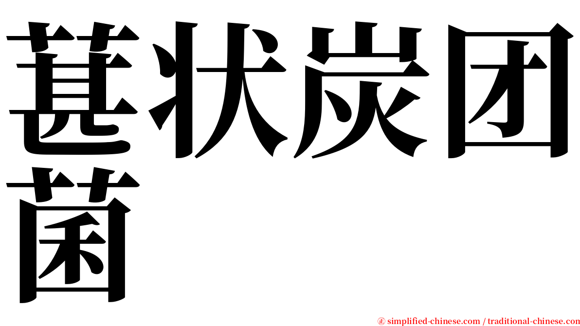 葚状炭团菌 serif font