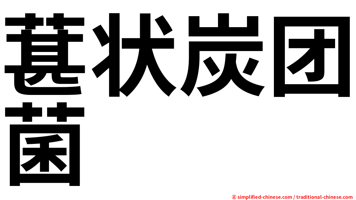 葚状炭团菌