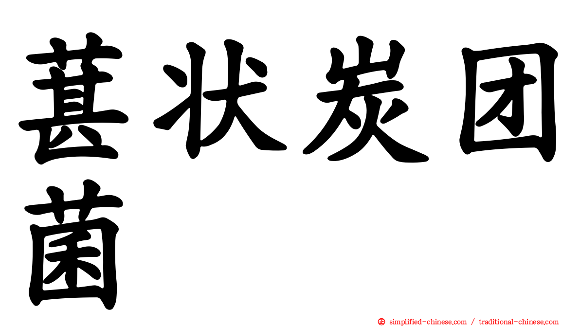 葚状炭团菌
