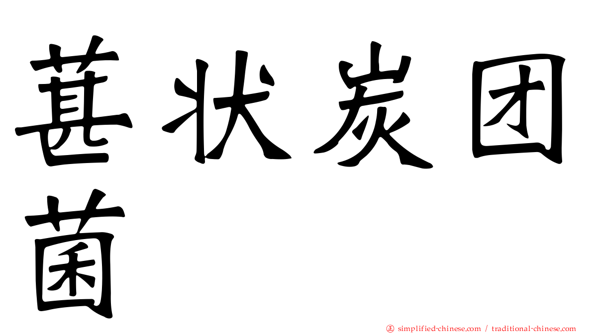 葚状炭团菌