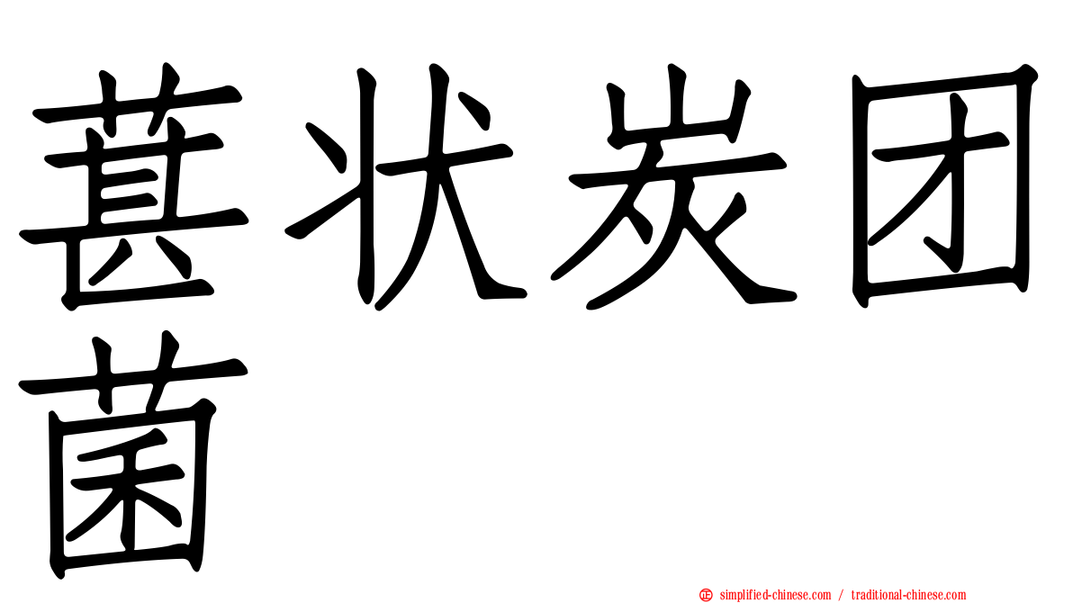 葚状炭团菌