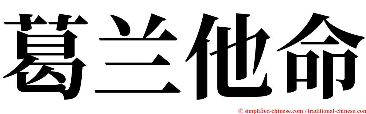 葛兰他命 serif font