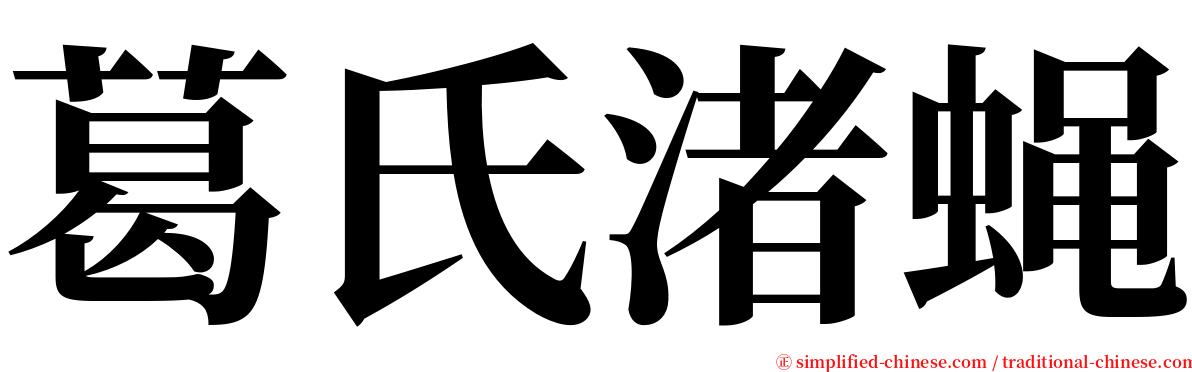 葛氏渚蝇 serif font