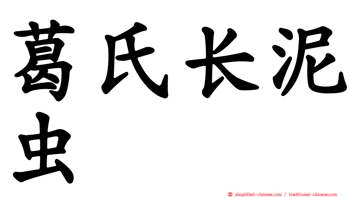 葛氏长泥虫