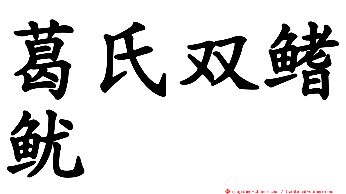 葛氏双鳍鱿