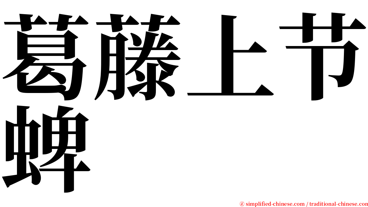 葛藤上节蜱 serif font