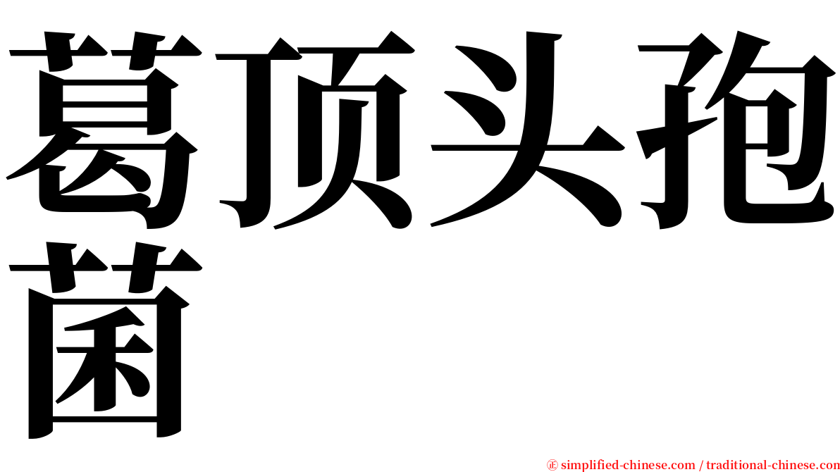 葛顶头孢菌 serif font