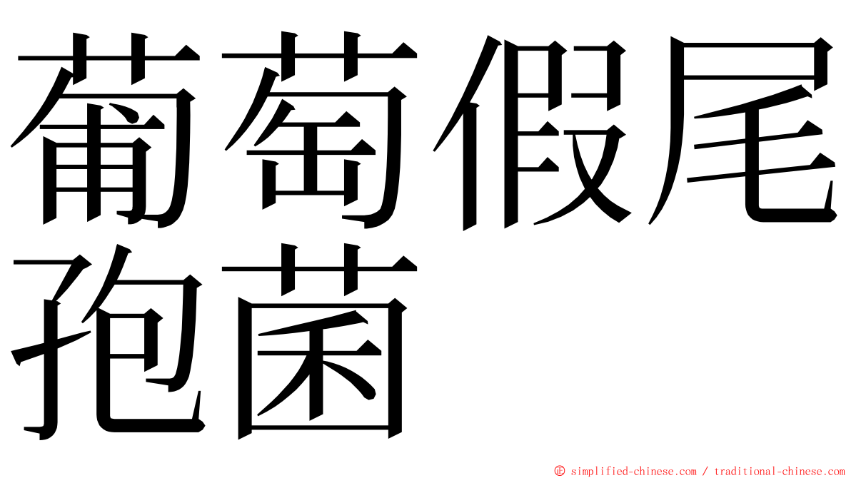 葡萄假尾孢菌 ming font