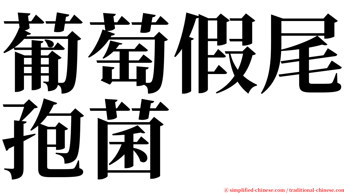 葡萄假尾孢菌 serif font