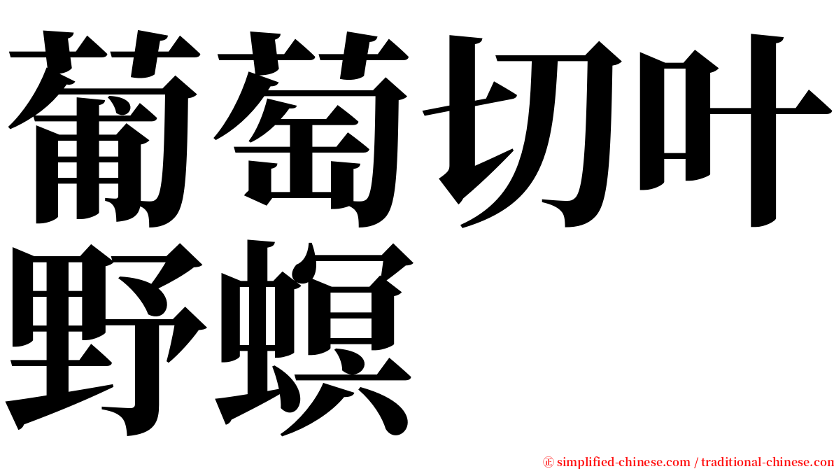 葡萄切叶野螟 serif font