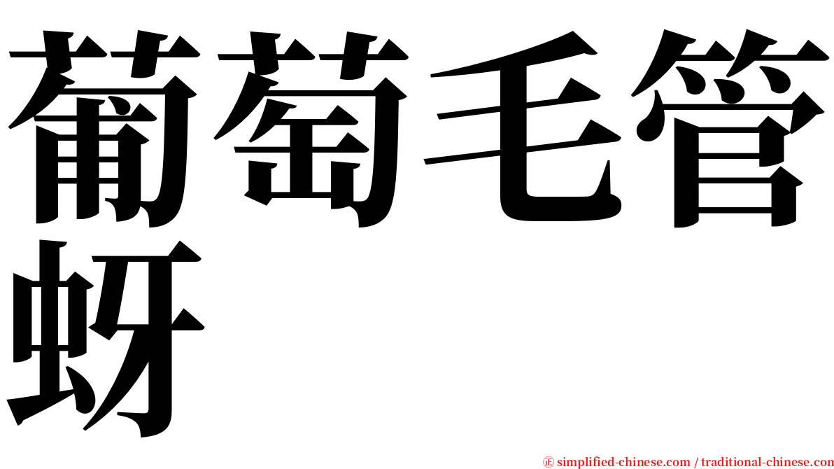 葡萄毛管蚜 serif font