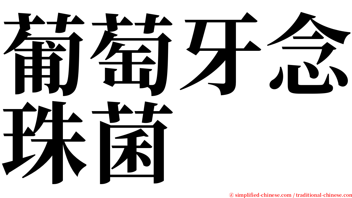 葡萄牙念珠菌 serif font