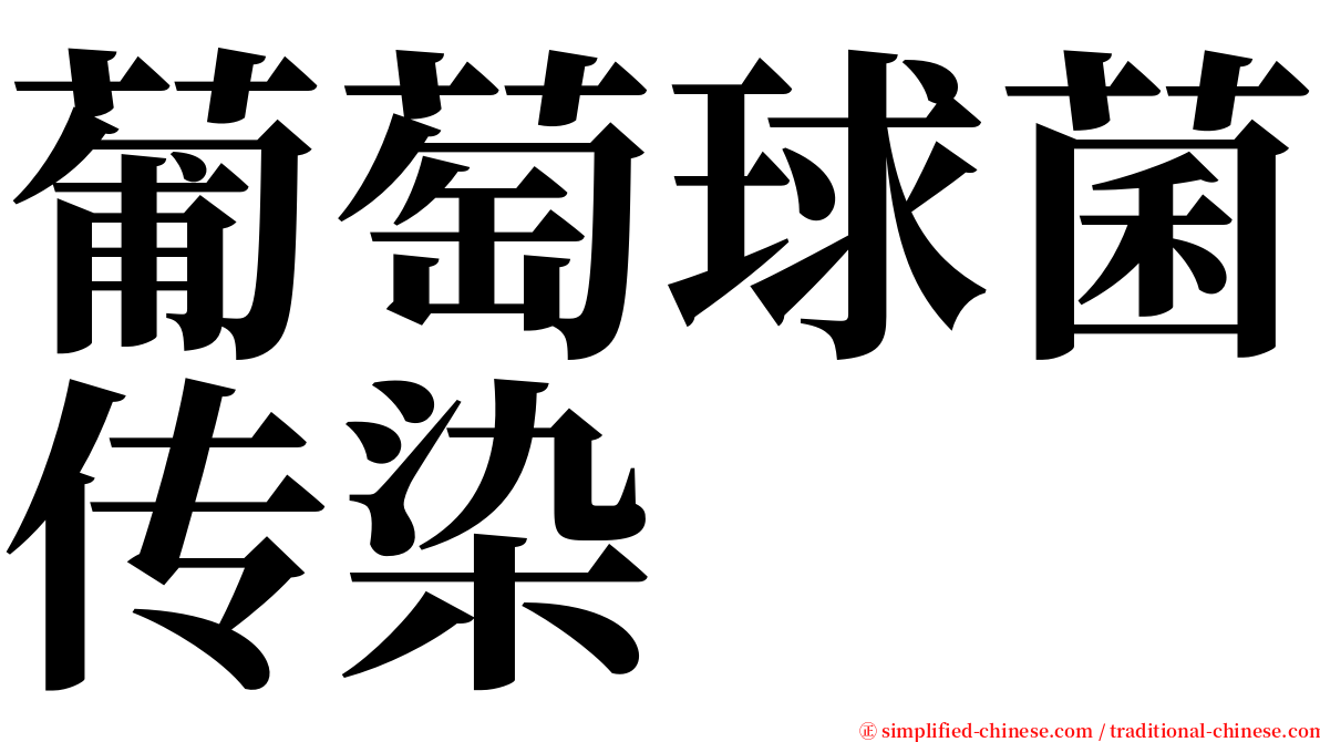 葡萄球菌传染 serif font