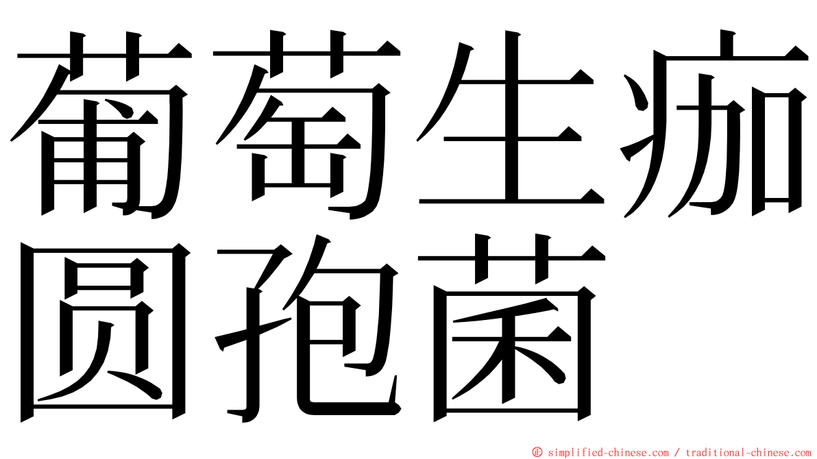 葡萄生痂圆孢菌 ming font