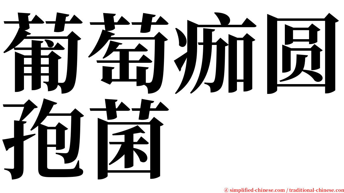 葡萄痂圆孢菌 serif font