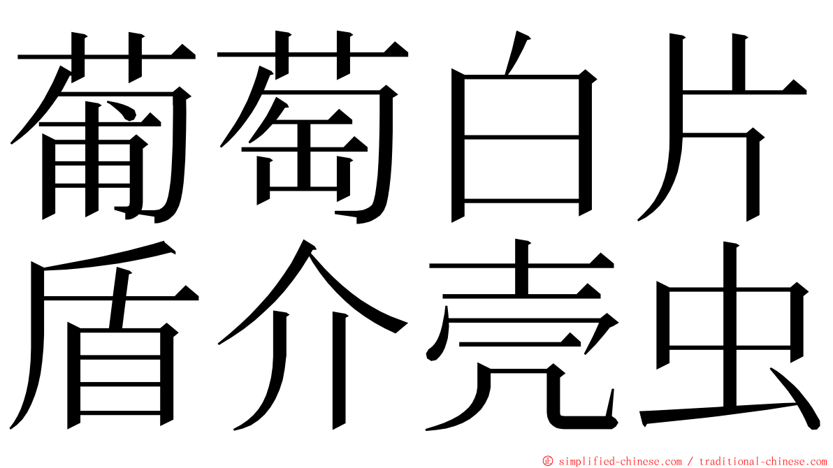 葡萄白片盾介壳虫 ming font