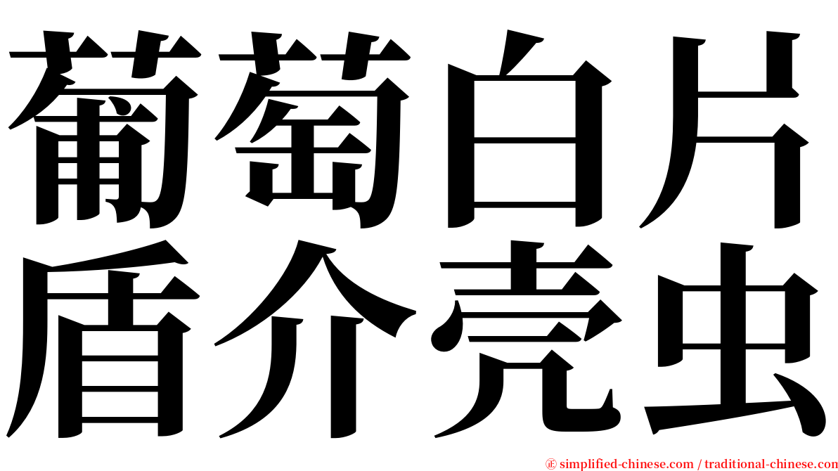 葡萄白片盾介壳虫 serif font