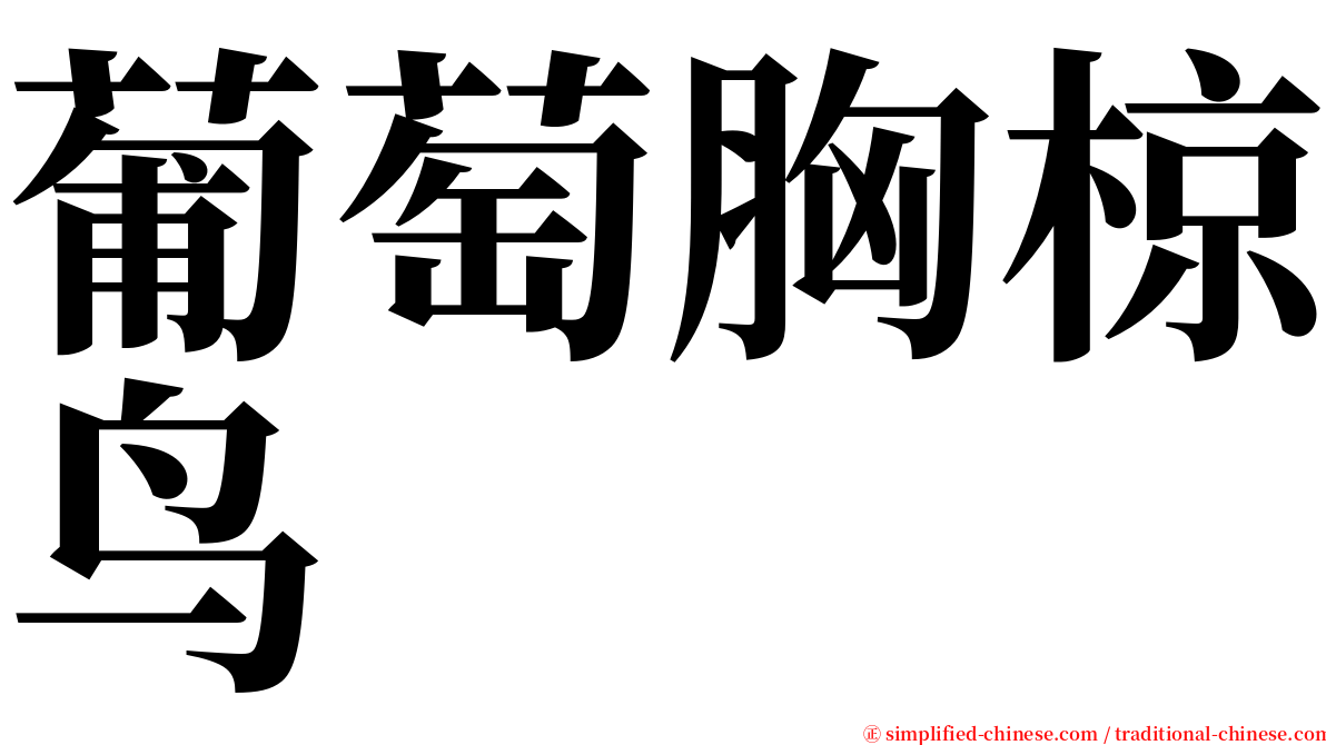 葡萄胸椋鸟 serif font