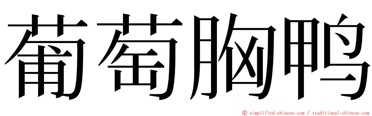 葡萄胸鸭 ming font