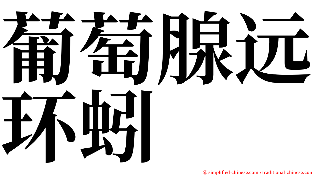 葡萄腺远环蚓 serif font