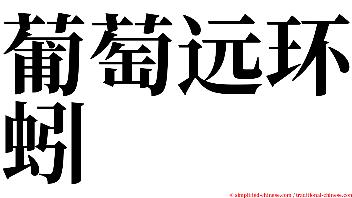 葡萄远环蚓 serif font