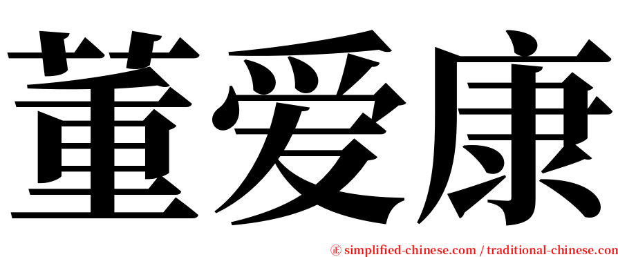 董爱康 serif font