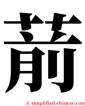 葥 serif font