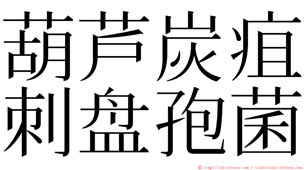 葫芦炭疽刺盘孢菌 ming font