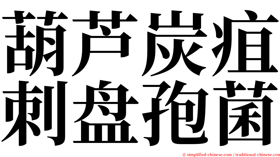 葫芦炭疽刺盘孢菌 serif font