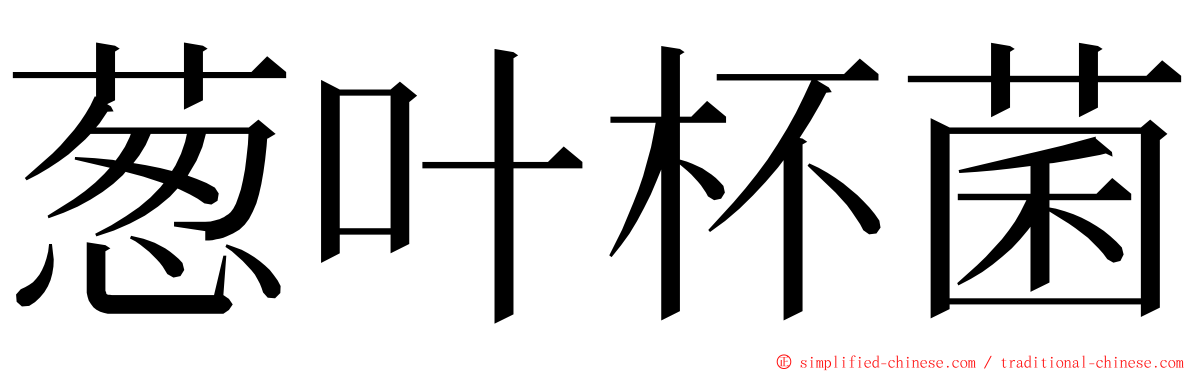 葱叶杯菌 ming font